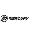 Mercury