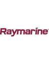 Raymarine